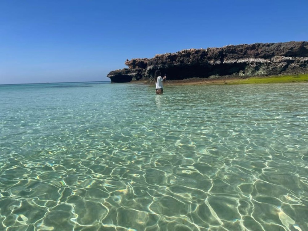 Daymaniat Islands Snorkeling Trip | ®ExcursionMania