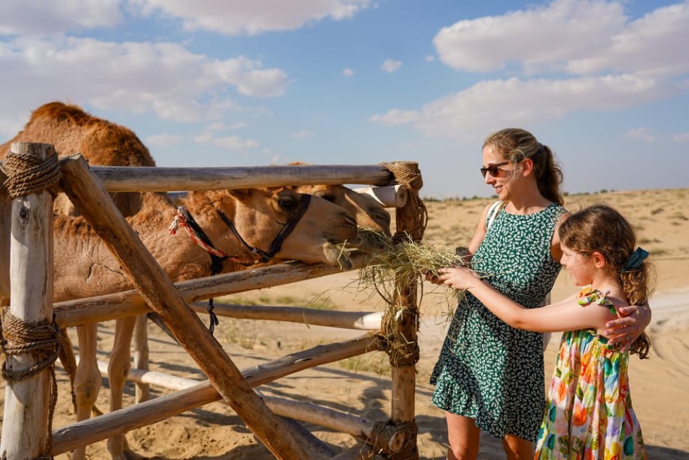 Dubai: Desert Safari, Quad Bike, Sandboarding, Camels & BBQ | ®ExcursionMania