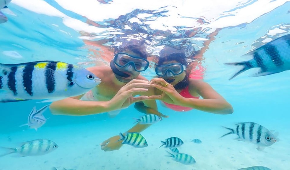 Hurghada: Dolphin Watching & Snorkeling Adventure with Lunch | ®ExcursionMania