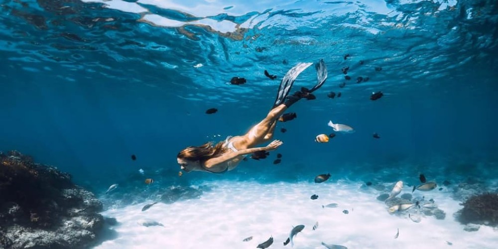 Hurghada: Dolphin Watching & Snorkeling Adventure with Lunch | ®ExcursionMania