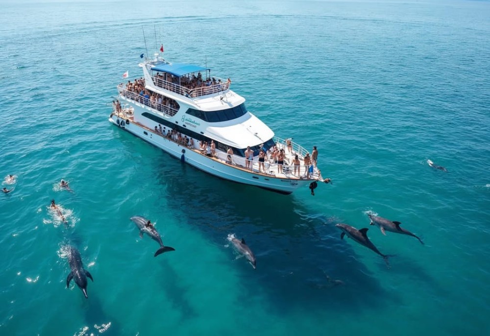 El Gouna Lagoon and Dolphin Diving with Lunch | ®ExcursionMania