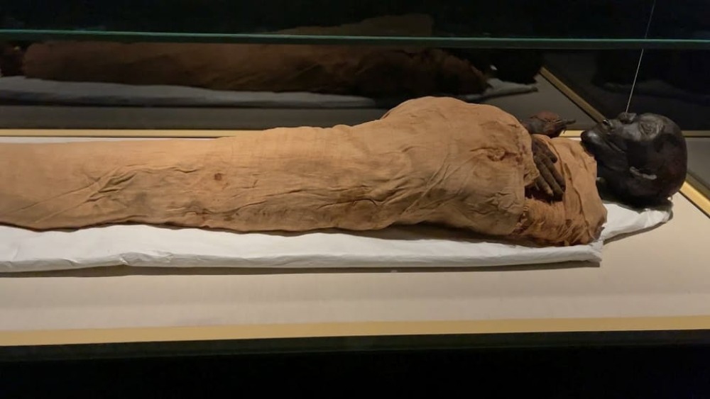Cairo: National Museum of Egypt (NMEC) Skip-Line QR Ticket | ®ExcursionMania