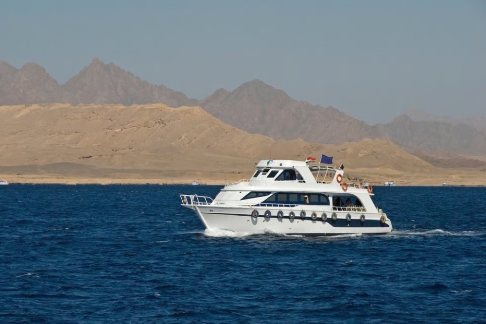Sharm El Sheikh: Snorkeling at Ras Mohamed & White Island | ®ExcursionMania