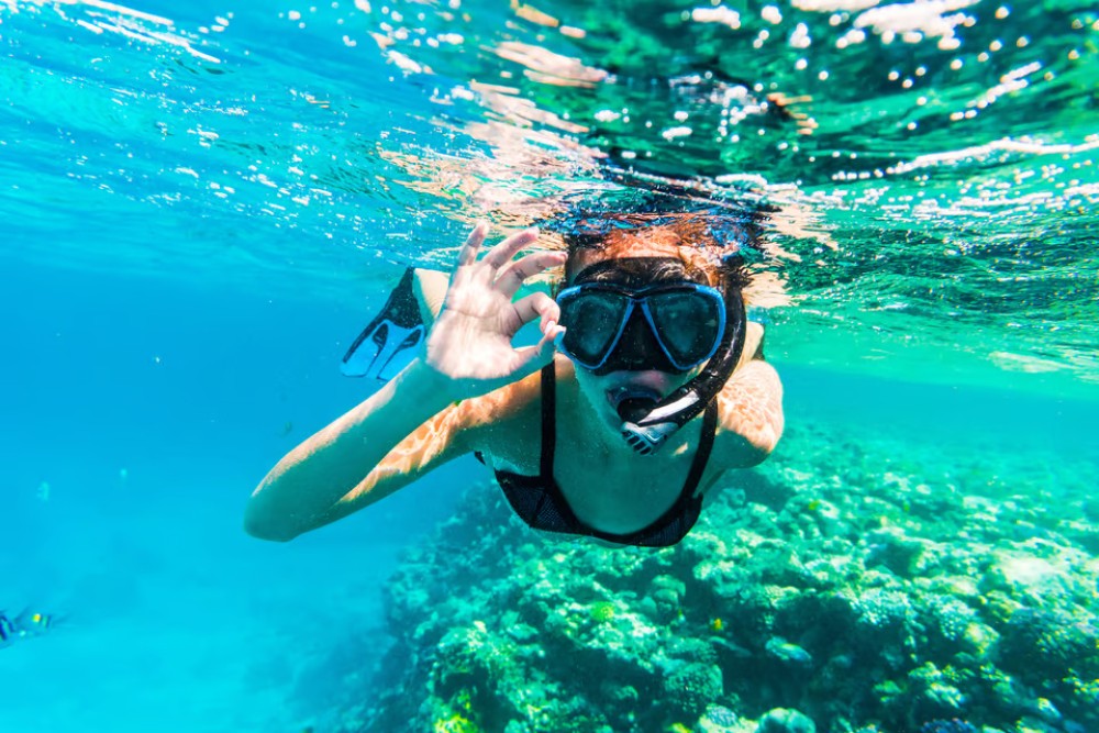 Sharm El Sheikh: Snorkeling at Ras Mohamed & White Island | ®ExcursionMania