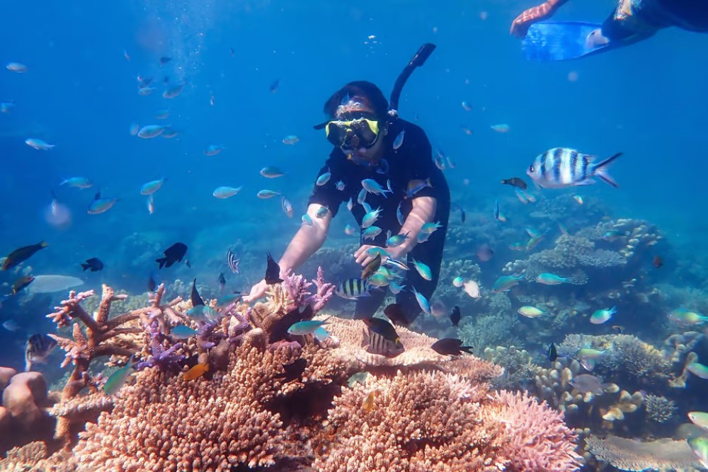 Sharm El Sheikh: Ras Mohamed Snorkelling & Magic Lake Tour | ®ExcursionMania
