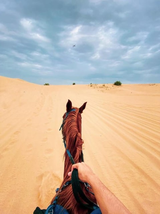 El Gouna: Desert & Sea Horse Riding with Swimming | ®ExcursionMania