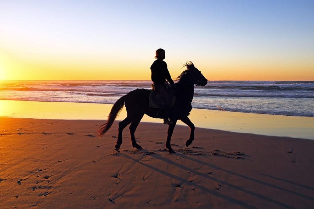 El Gouna: Desert & Sea Horse Riding with Swimming | ®ExcursionMania