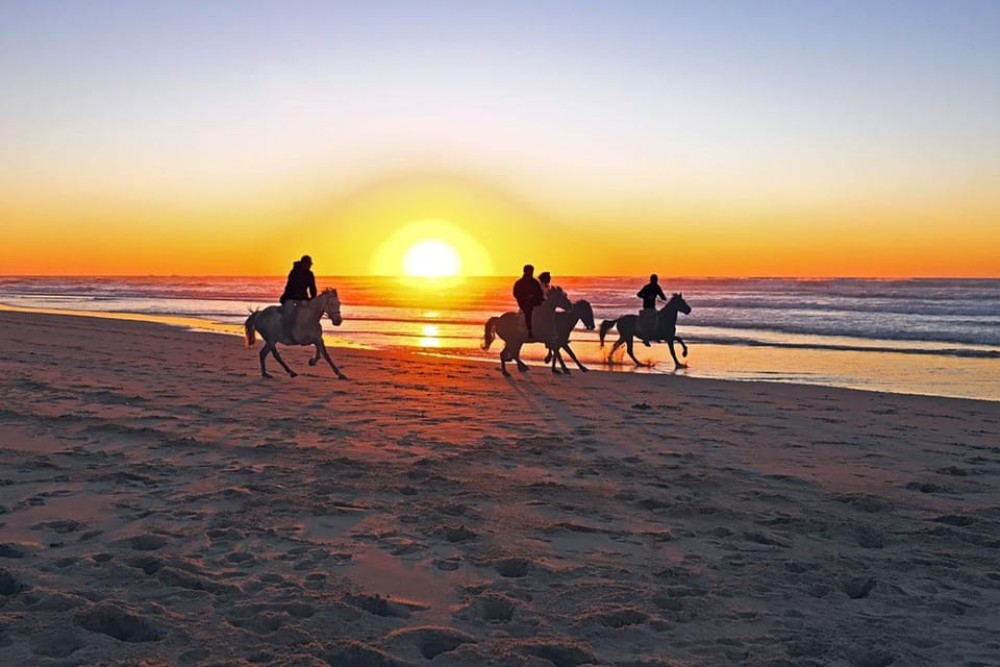 El Gouna: Desert & Sea Horse Riding with Swimming | ®ExcursionMania