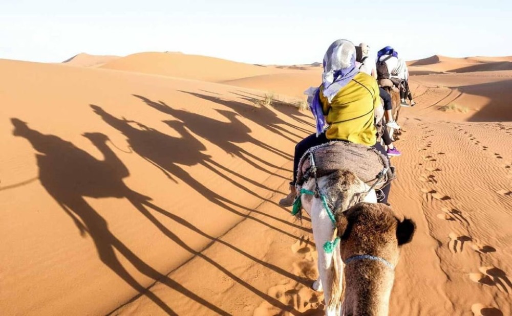Sharm El Sheikh: ATV Dunes & Waves Adventure with Lunch | ®ExcursionMania