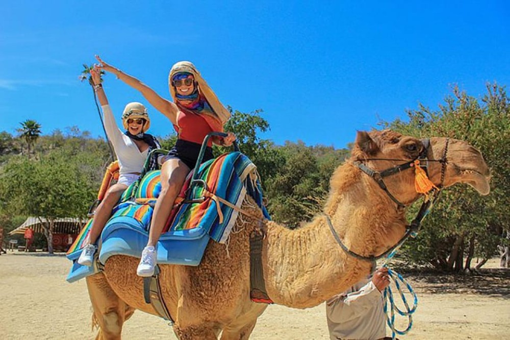 Hurghada: 3 Hour Camel Riding with Bedouin vibe | ®ExcursionMania