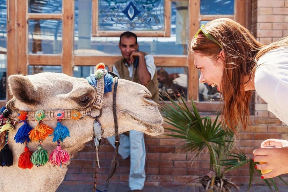 Hurghada: 3 Hour Camel Riding with Bedouin vibe | ®ExcursionMania