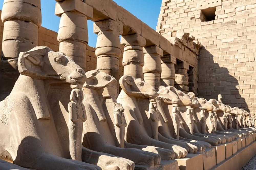 From Safaga or Makadi: Day Trip to Luxor by van with Lunch | ®ExcursionMania