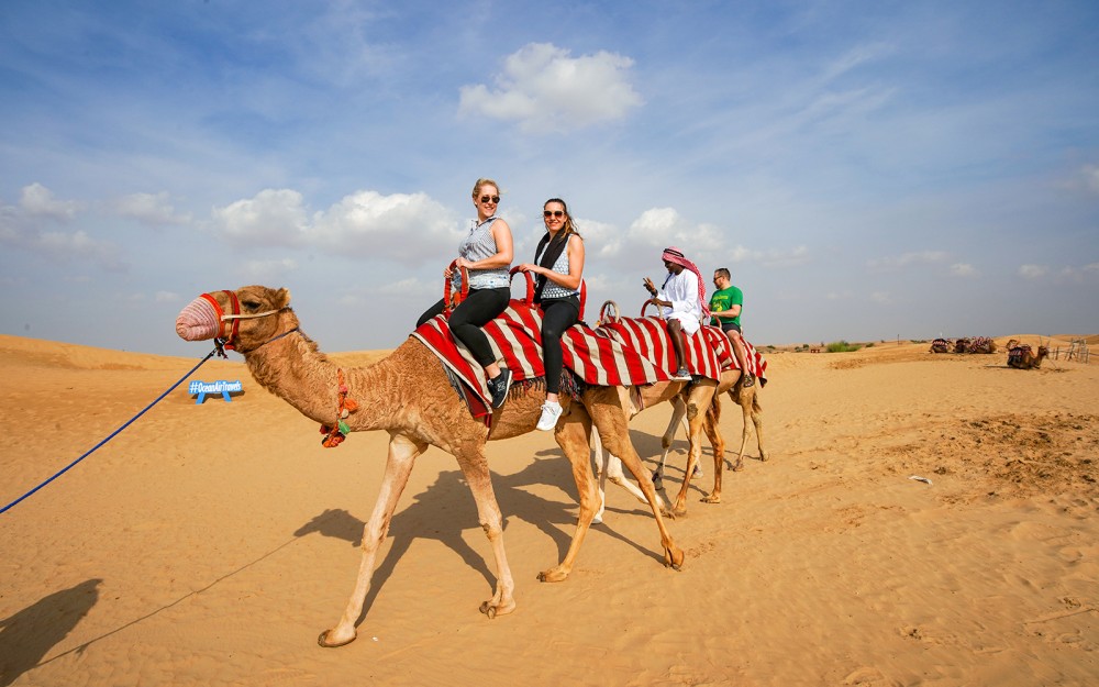 Dubai: Half-Day Desert Safari, Camel Ride & Quad Bike Option | ®ExcursionMania