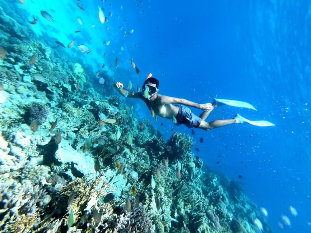 Hurghada: Full-Day Snorkling Trip to Super Utopia With Lunch | ®ExcursionMania