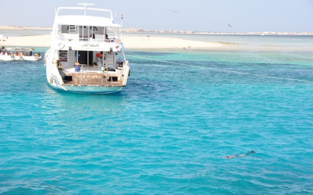 Hurghada: Full-Day Snorkling Trip to Super Utopia With Lunch | ®ExcursionMania