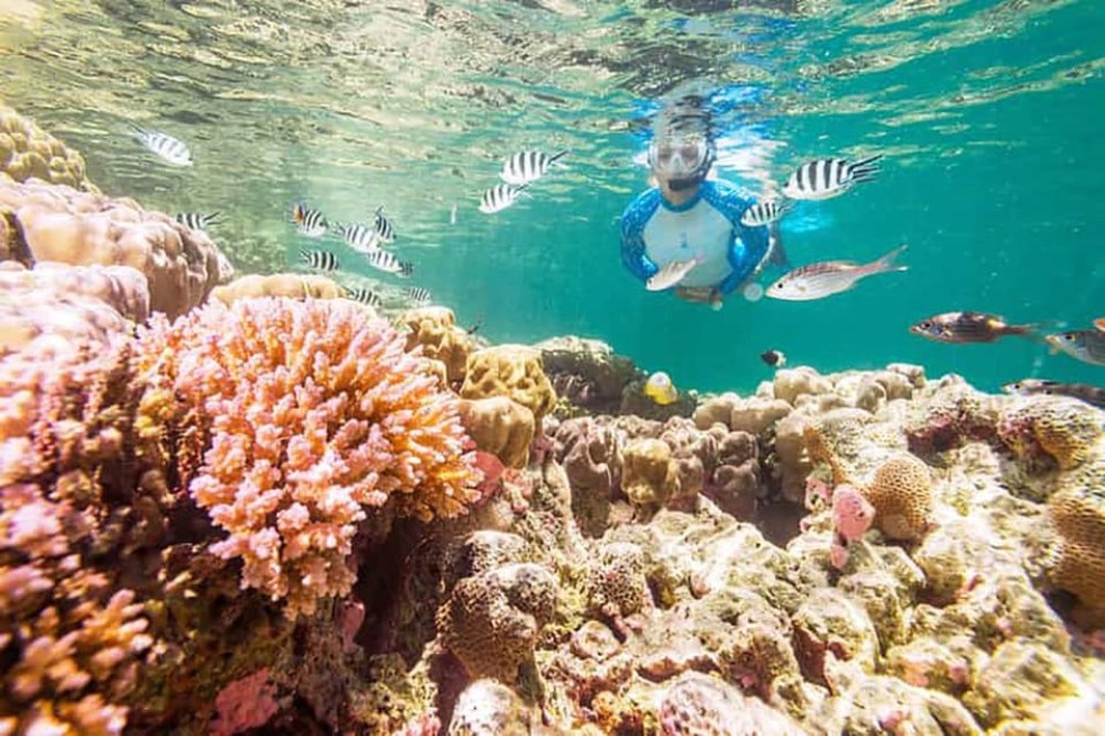 Hurghada: Full-Day Snorkling Trip to Super Utopia With Lunch | ®ExcursionMania