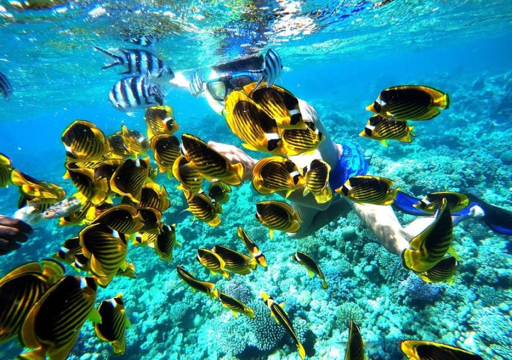 Hurghada: Full-Day Snorkling Trip to Super Utopia With Lunch | ®ExcursionMania