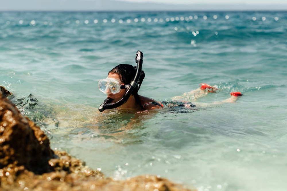 Marsa Alam: Snorkeling Trip to Satayh Dolphin Reef | ®ExcursionMania