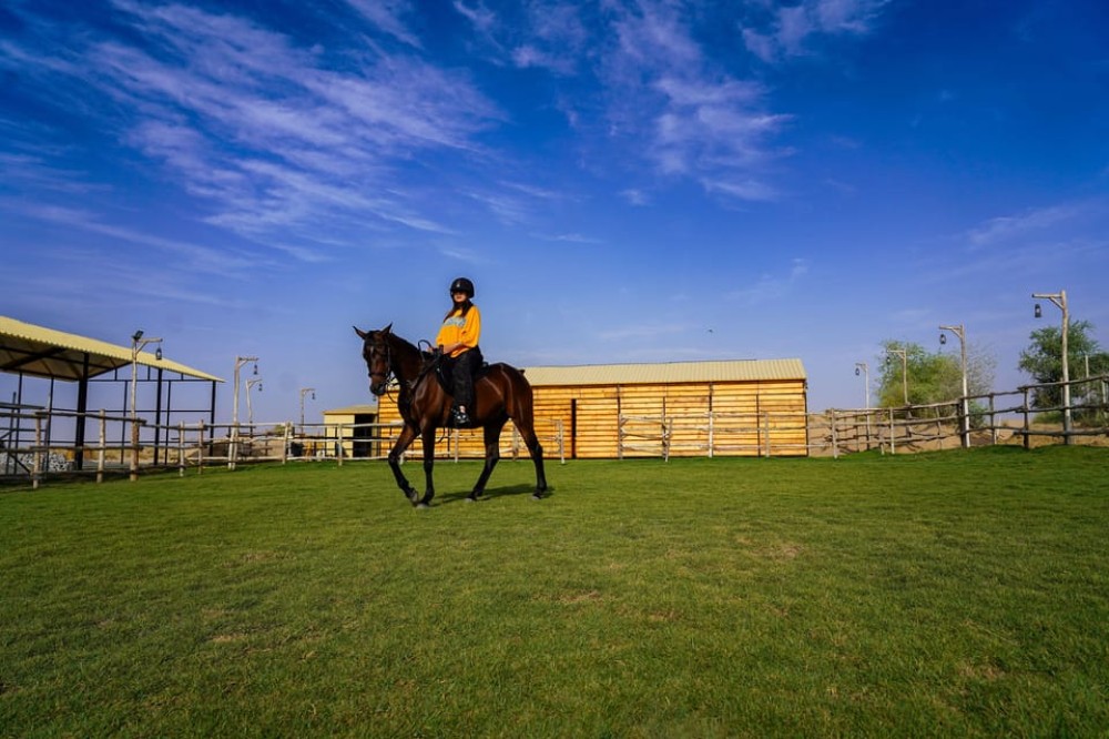 Dubai: Camel & Horse Ride, Al Khayma Camp, Stargazing, & BBQ | ®ExcursionMania