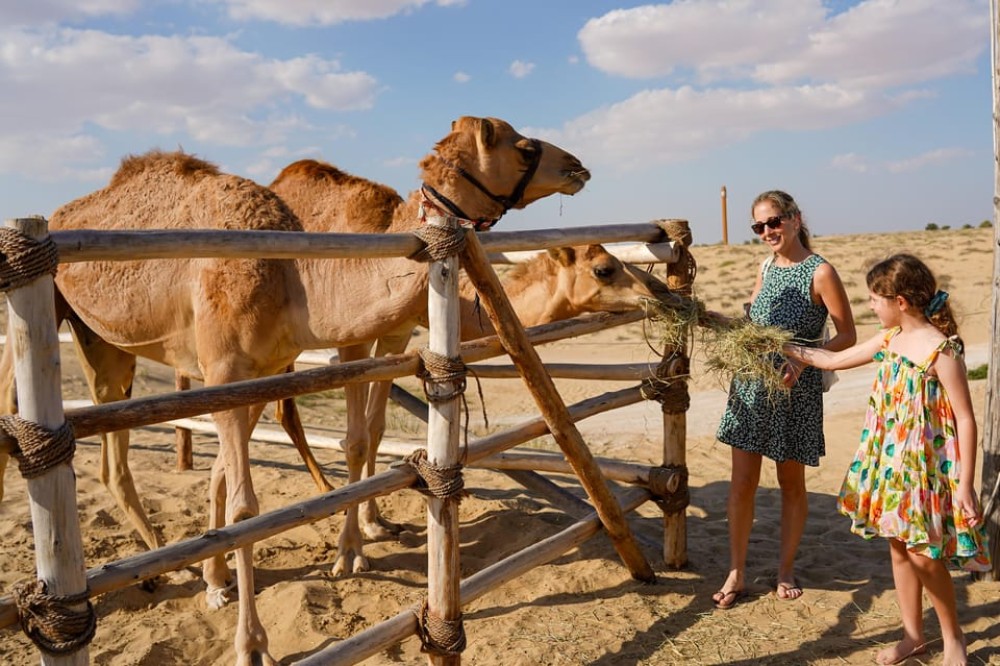Dubai: Camel & Horse Ride, Al Khayma Camp, Stargazing, & BBQ | ®ExcursionMania