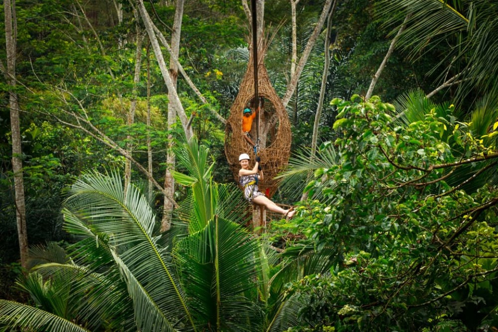 Ubud: Half-Day Zipline and Jungle Swing Adventure | ®ExcursionMania