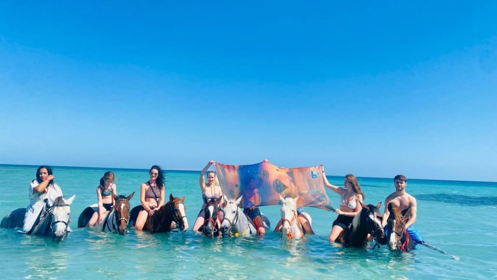 Hurghada: Red Sea & Desert Horse Riding Tour with Swimming | ®ExcursionMania