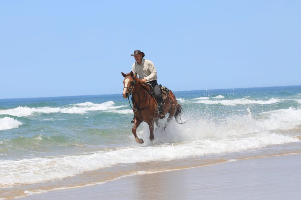 Hurghada: Red Sea & Desert Horse Riding Tour with Swimming | ®ExcursionMania