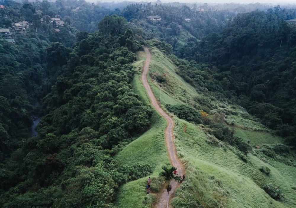 Bali: Full-Day Eat Pray Love Tour with Rice Terraces & Yoga | ®ExcursionMania