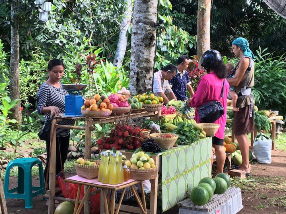 Bali: Full-Day Eat Pray Love Tour with Rice Terraces & Yoga | ®ExcursionMania