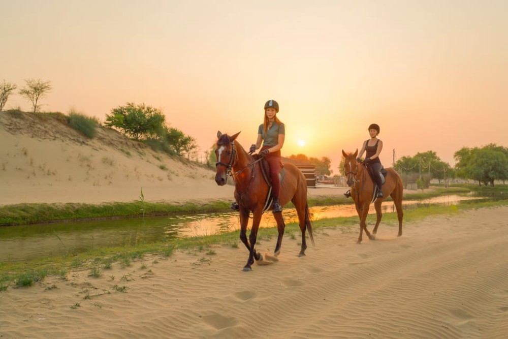 Dubai: Al Marmoom Oasis Horse Riding Experience with Snack | ®ExcursionMania