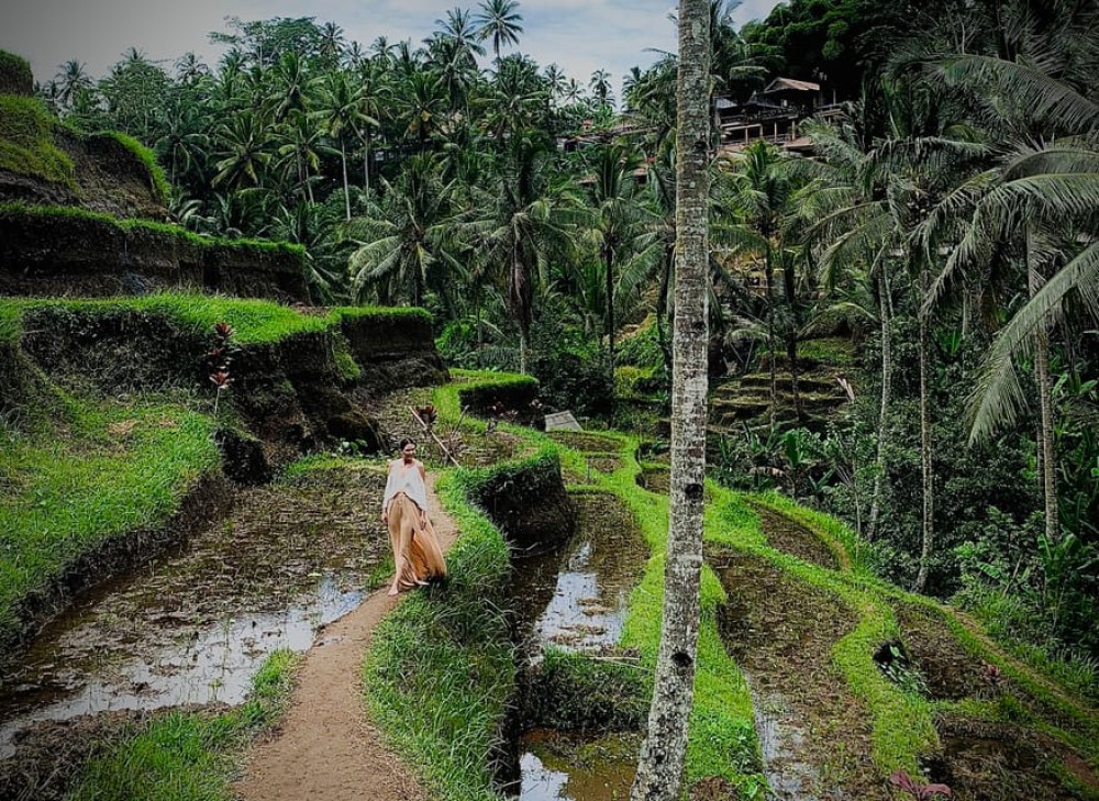 Wellness in Bali: Retreats, Yoga, and Spiritual Healing