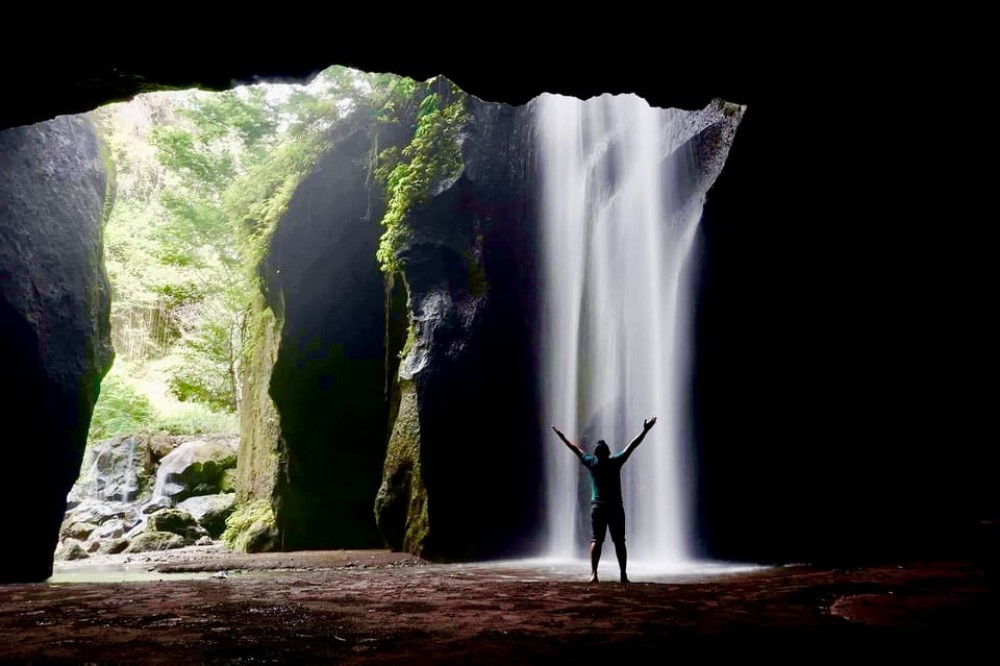 Ubud: Half-Day Semi-Customized Private-Tour with Live Guide | ®ExcursionMania