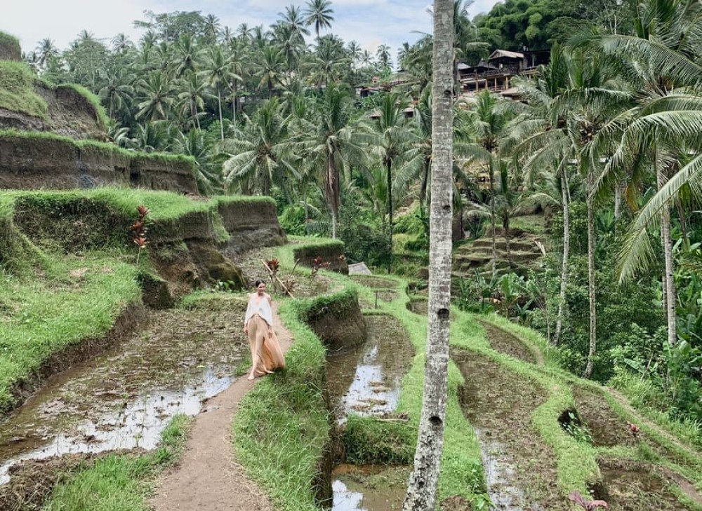 Ubud: Half-Day Semi-Customized Private-Tour with Live Guide | ®ExcursionMania