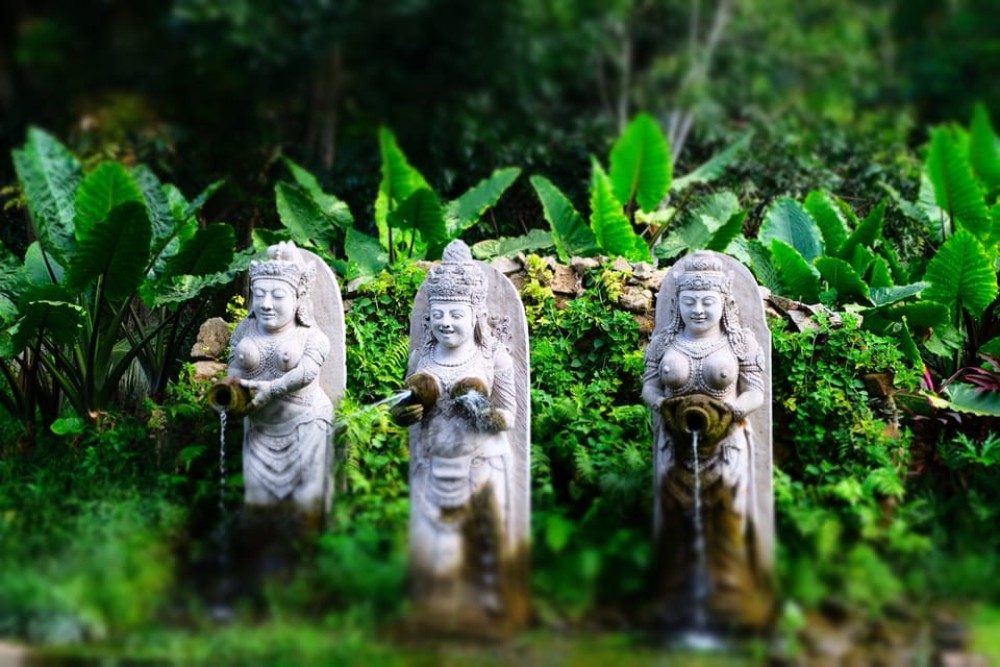 Ubud: Half-Day Semi-Customized Private-Tour with Live Guide | ®ExcursionMania