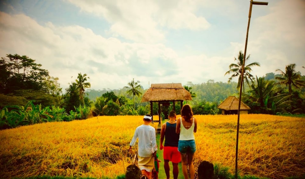 Ubud: Half-Day Semi-Customized Private-Tour with Live Guide | ®ExcursionMania