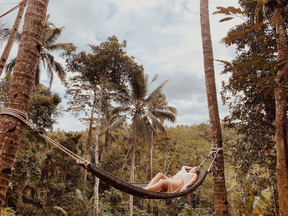 Ubud: Half-Day Semi-Customized Private-Tour with Live Guide | ®ExcursionMania