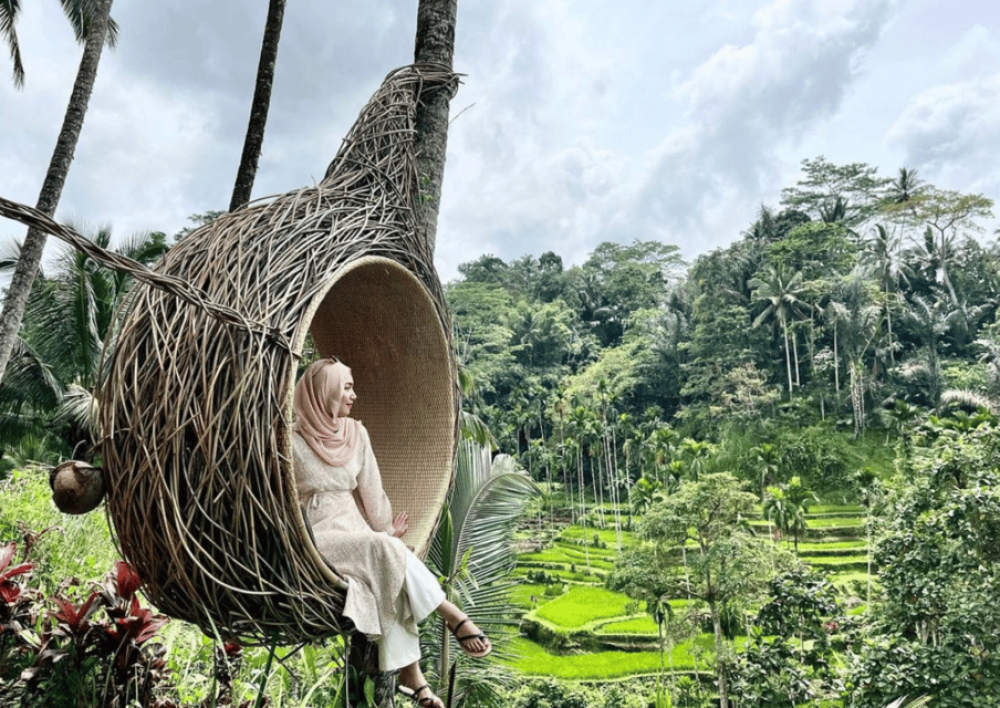 Ubud: Half-Day Semi-Customized Private-Tour with Live Guide | ®ExcursionMania