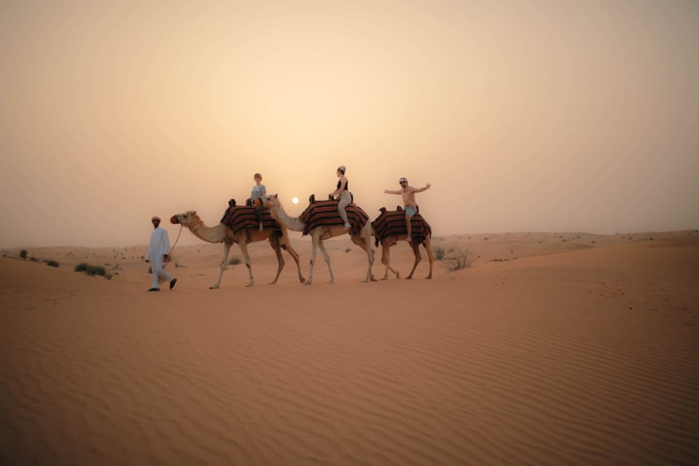 Dubai: Evening Camel Trekking & Dinner at Al Marmoom Oasis | ®ExcursionMania