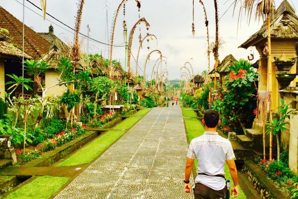 Bali: Swing with Falls Rice Terrace & Monkey Forest Option | ®ExcursionMania