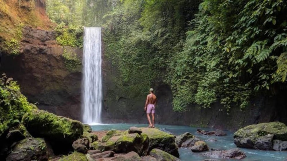 From Bali: Saraswati Temple Monkey Forest Ubud Waterfalls | ®ExcursionMania