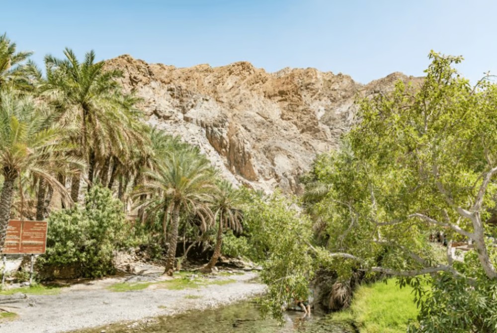 From Muscat: North Dunes and Wadi Hot Spring Tour with Lunch | ®ExcursionMania