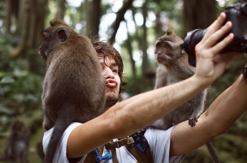 Bali: Countryside Bird Watching Tour with Hotel Transfer | ®ExcursionMania