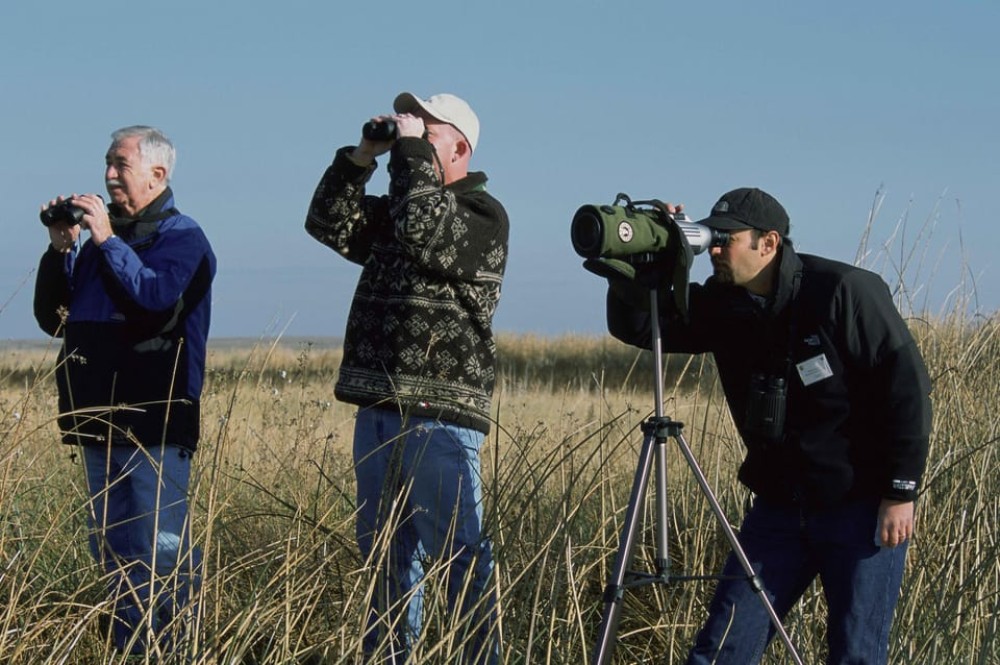 Bali: Countryside Bird Watching Tour with Hotel Transfer | ®ExcursionMania