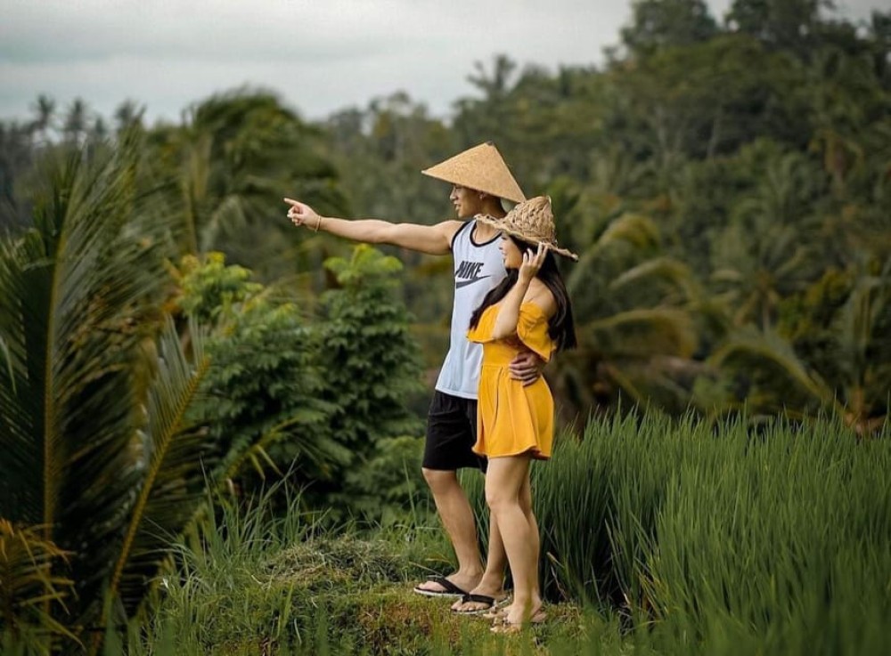 Bali: Countryside Bird Watching Tour with Hotel Transfer | ®ExcursionMania