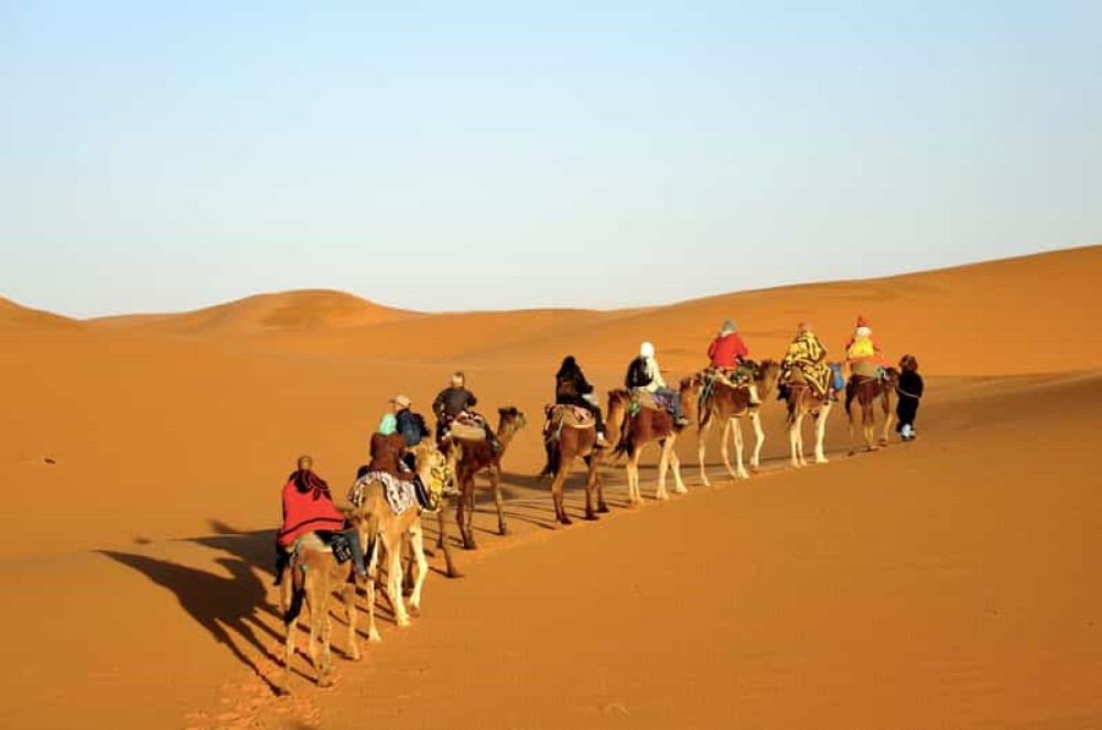 Marsa Alam: Desert Stargazing Tour with Camel Ride & Dinner | ®ExcursionMania