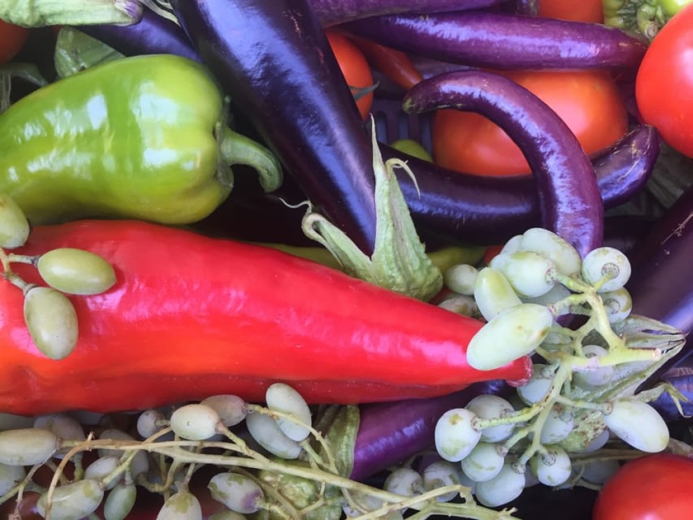 Bodrum Market Visit and Cooking Class With City Center Hotel Transfer | ®ExcursionMania
