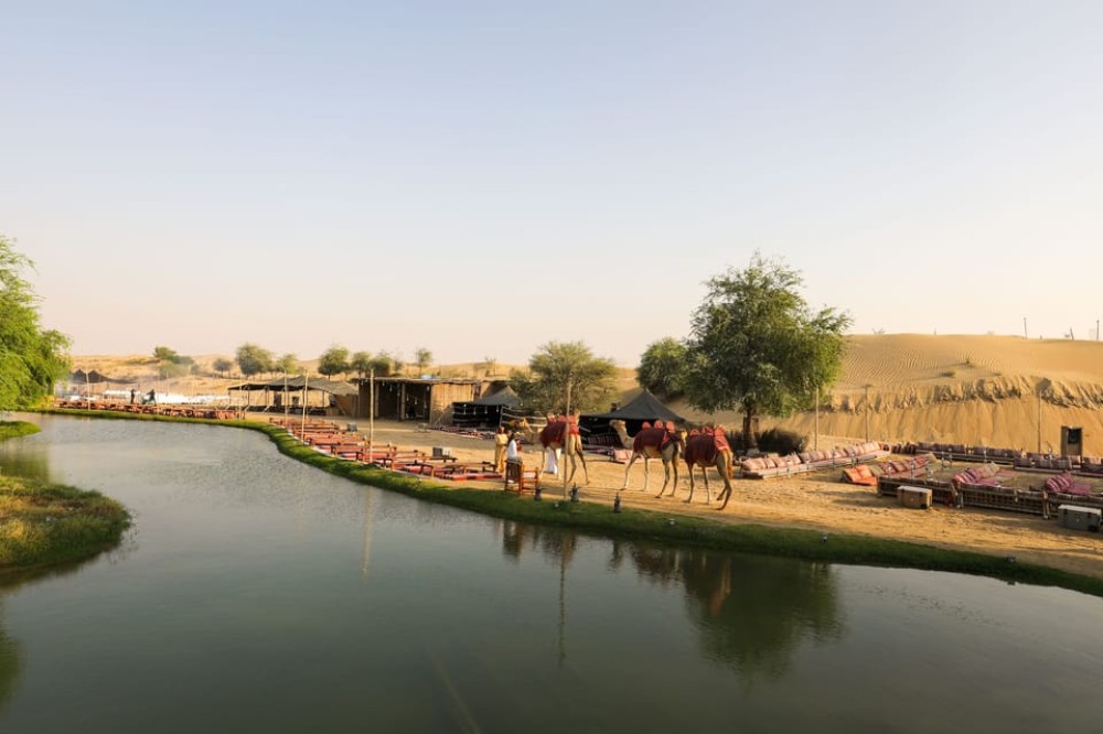 Dubai: Al Marmoom and Al Qudra Lakes Guided Tour with Dinner | ®ExcursionMania