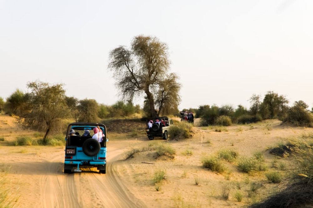 Dubai: Al Marmoom and Al Qudra Lakes Guided Tour with Dinner | ®ExcursionMania
