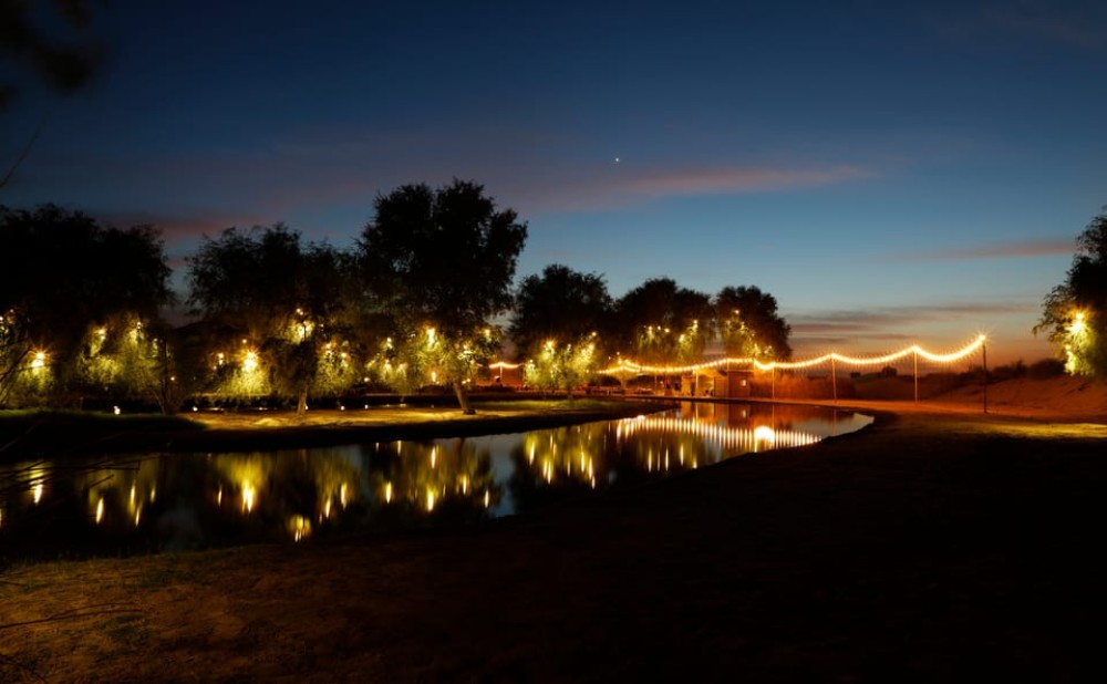 Dubai: Al Marmoom and Al Qudra Lakes Guided Tour with Dinner | ®ExcursionMania