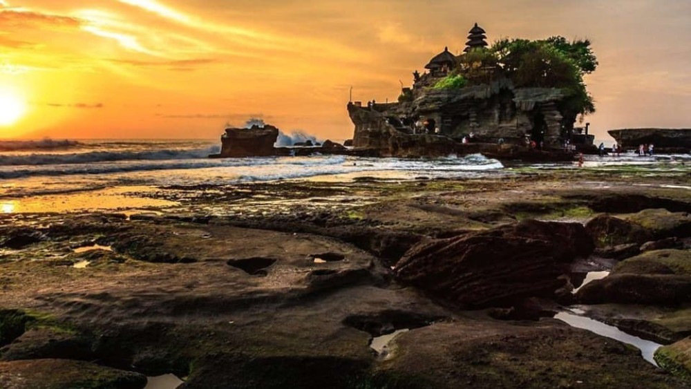 Bali: Full-Day Ubud Highlight & Tanah Lot Temple Sunset Tour | ®ExcursionMania